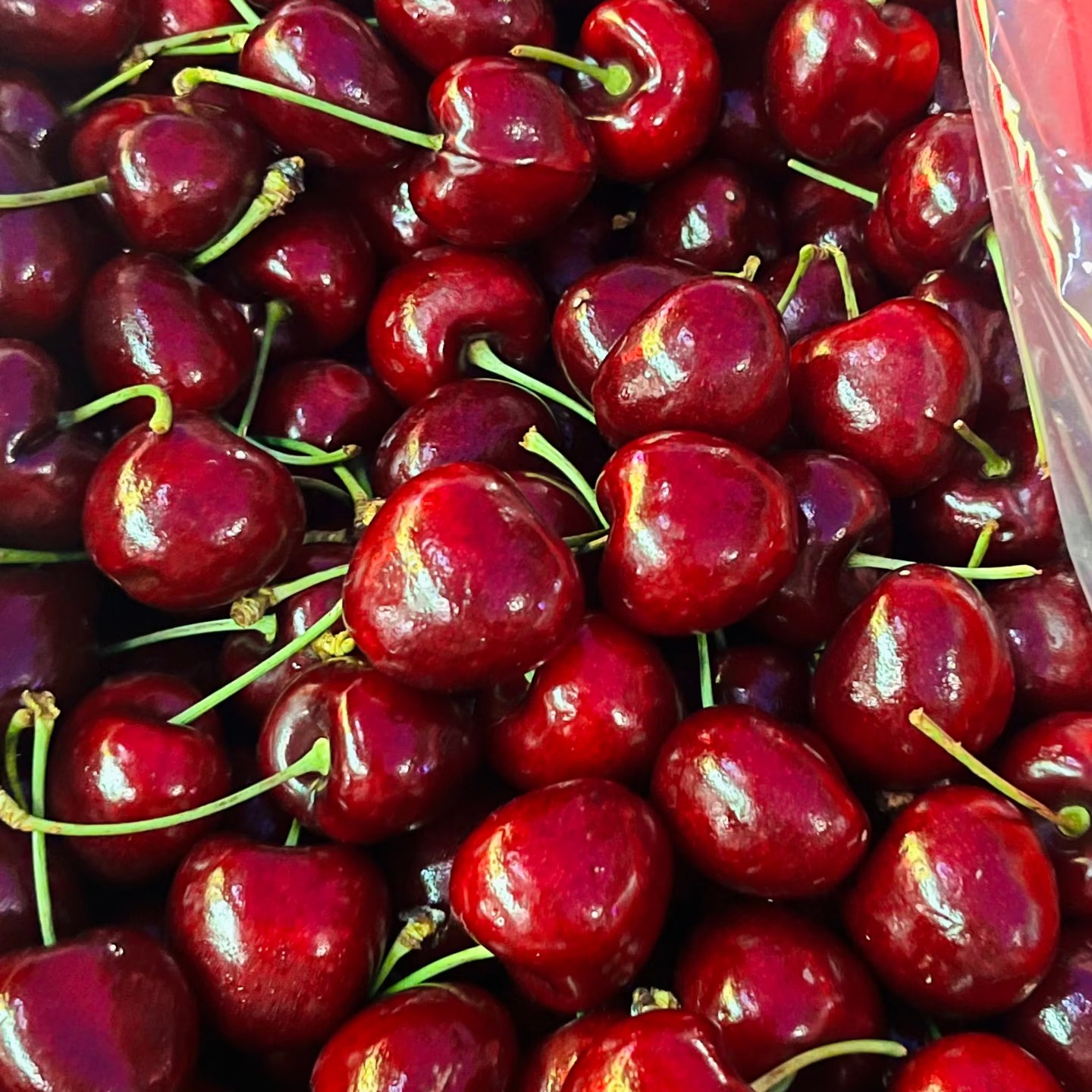 【皇家黎明】海运3J脆甜多汁内附果径卡