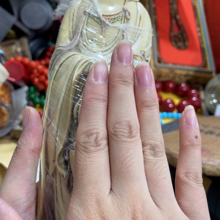 紫砂————————————————————