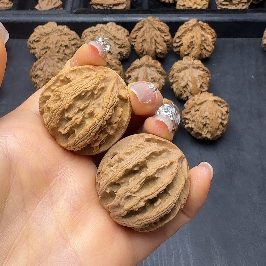 桃木突突突突突突突