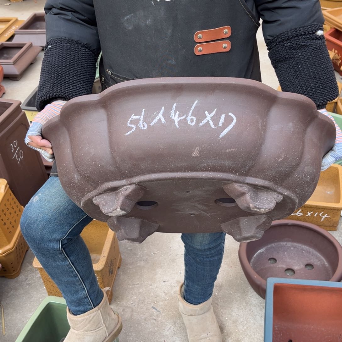 紫砂花盆盆景艺术