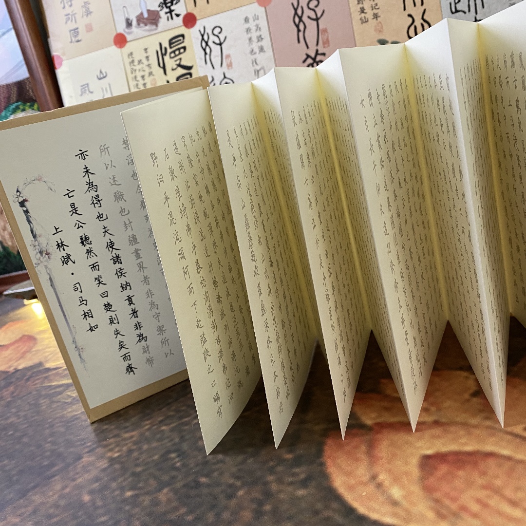 云琅上林赋全篇钢笔硬笔楷书练字帖全篇临摹字帖成人练字套装描红