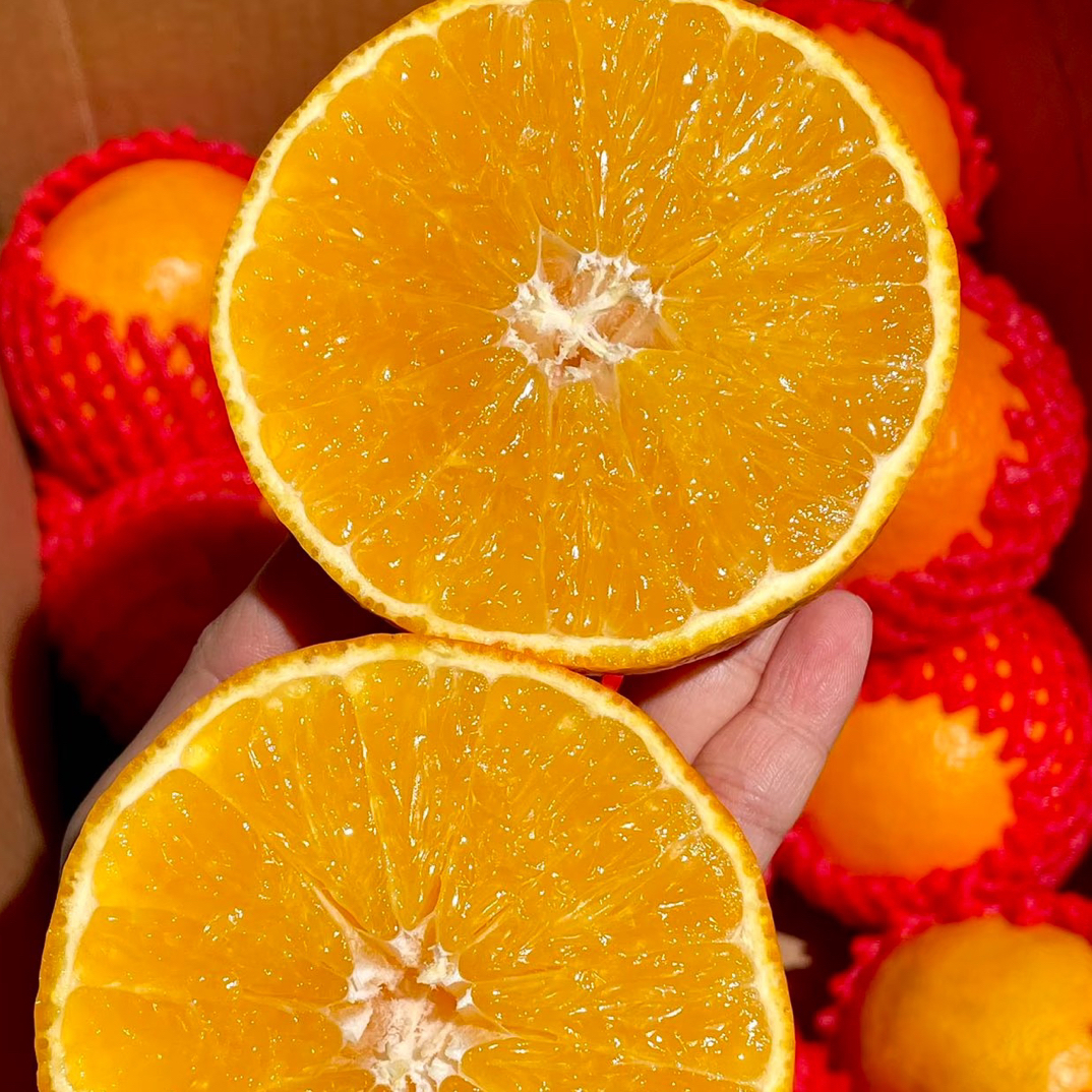 四川爱媛果冻橙9.9元6个