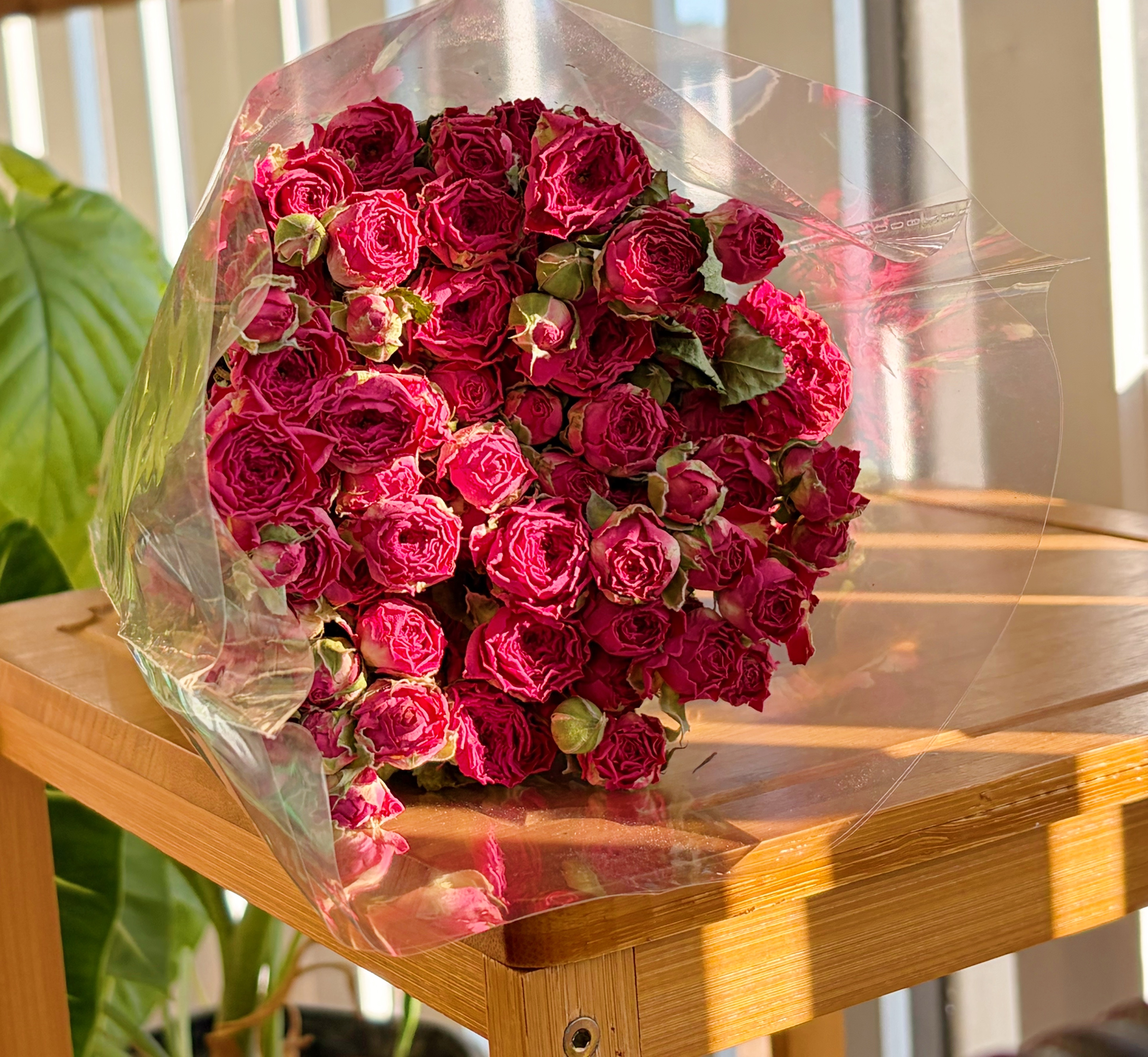 【干花玫瑰】小众稀有干玫瑰云南基地直发（一棵小树）