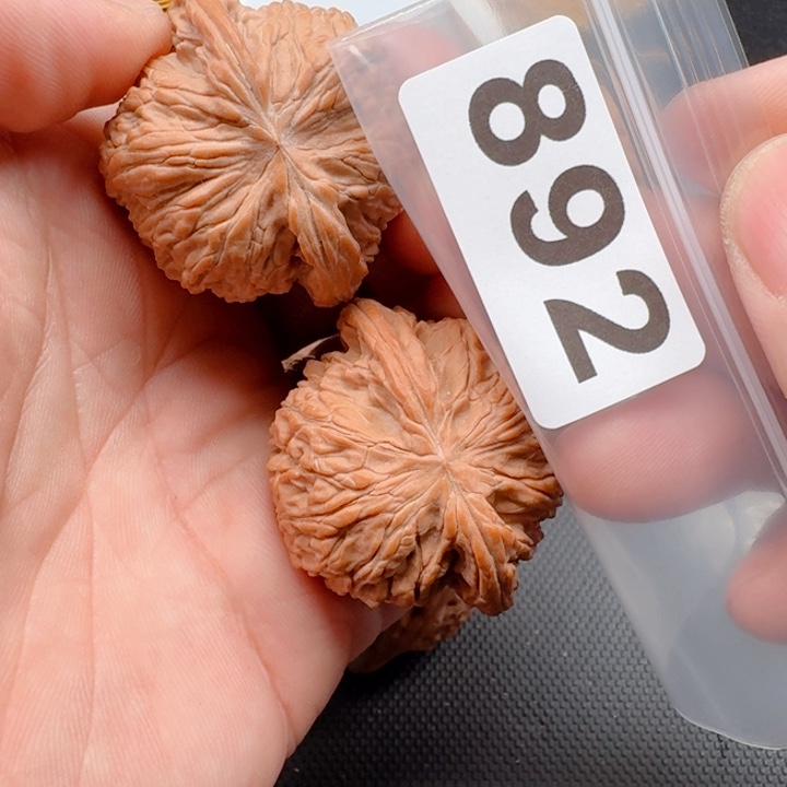 文玩核桃把件兹**极磨盘42