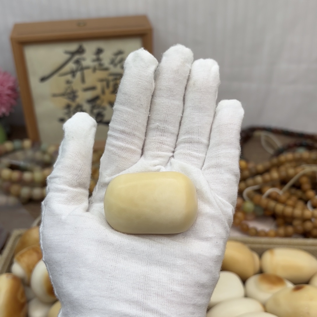 吊坠菩提根/象牙果牙果肥皂无芽眼把件529