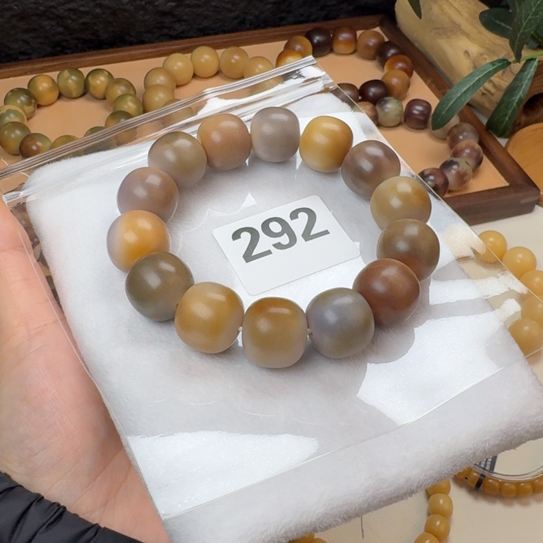 生***鸟菩提根/象牙果吊坠19干磨特殊瑕疵