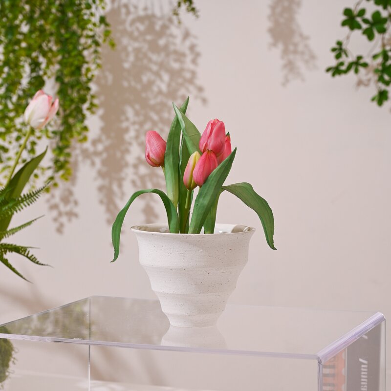 新款简约锥形螺纹奶白色土盆ins风家用多肉蝴蝶兰吊兰送塑料托盘