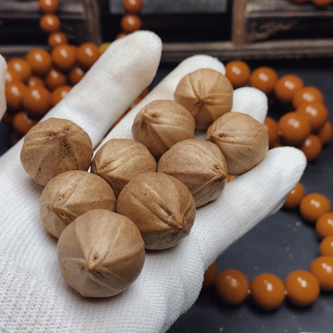 橄榄核手串/手链2.1X2.7尺寸树王铁核精品