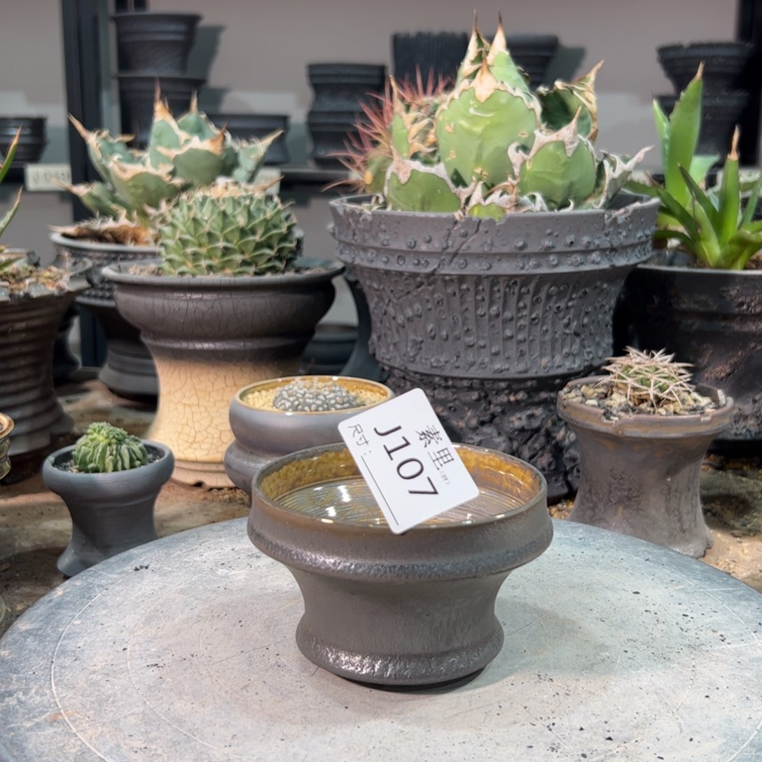 景德镇手工素里内加9.5高6.5