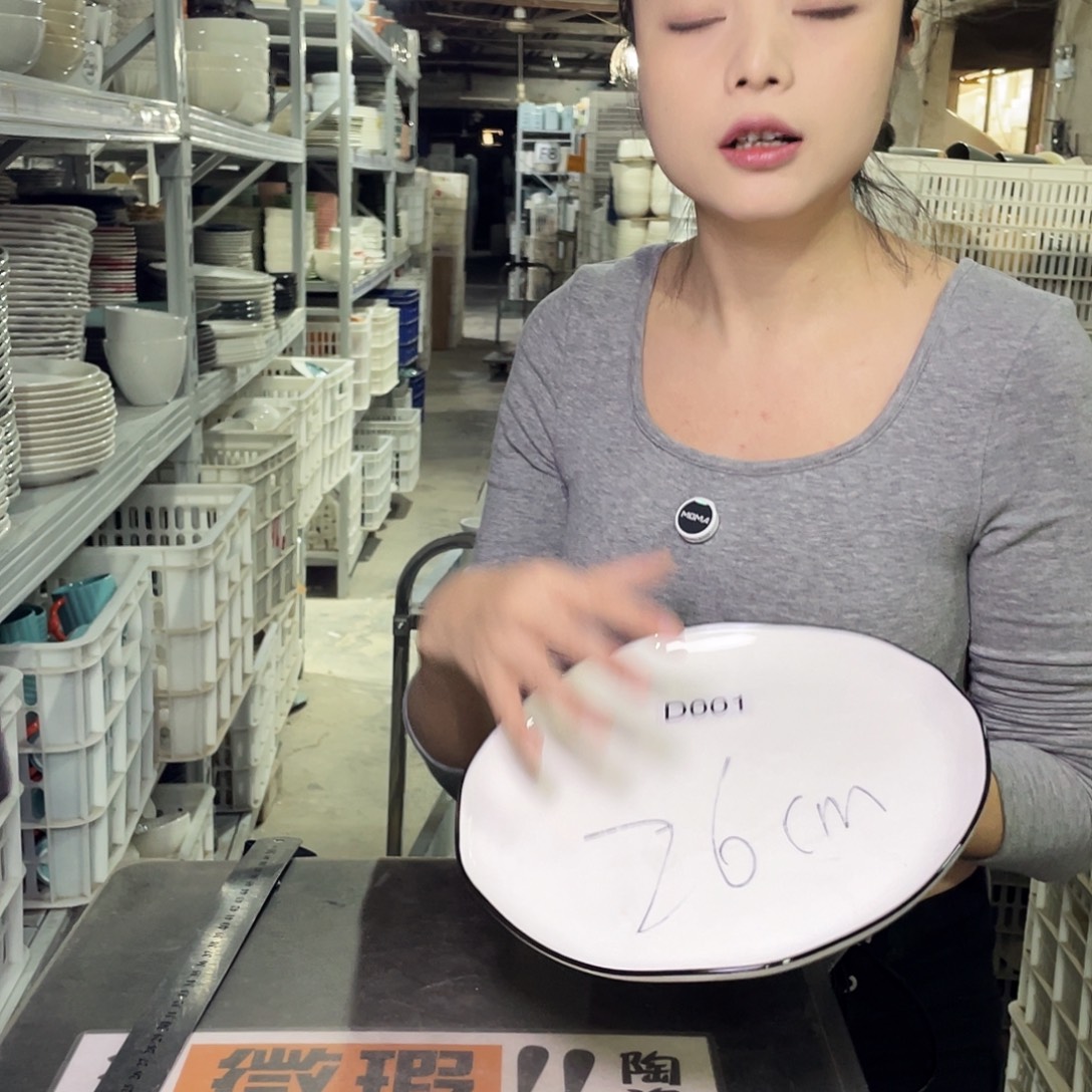 瓷片001             2个