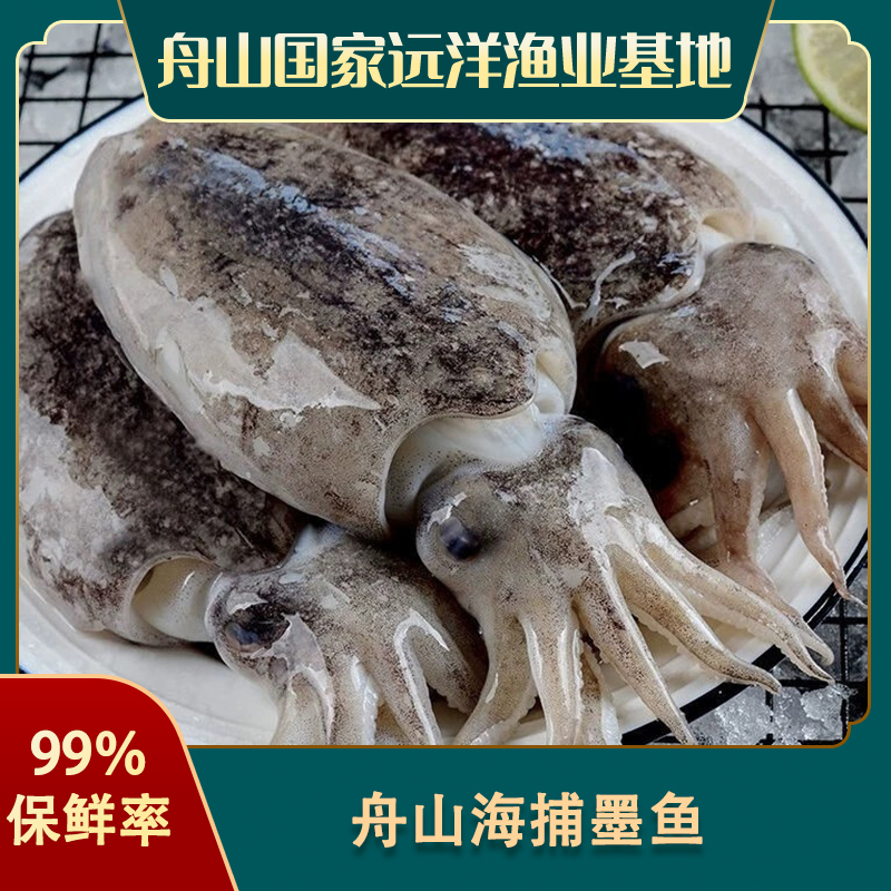 舟山原汁墨鱼 新鲜海捕 鲜冻无冰衣 到手5斤 本地发货顺丰包邮
