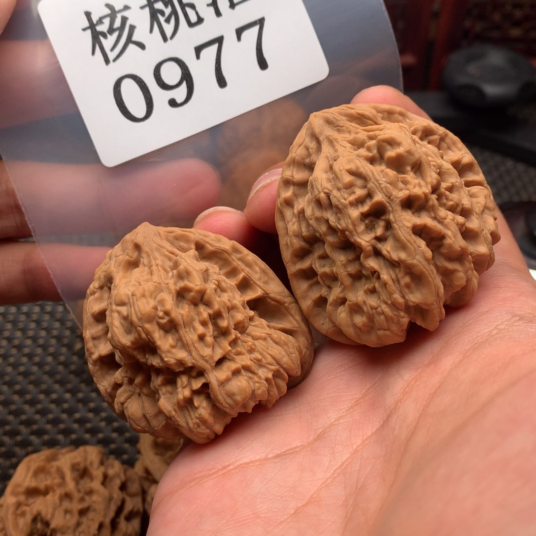 文玩核桃吊坠定****,金蝉王44