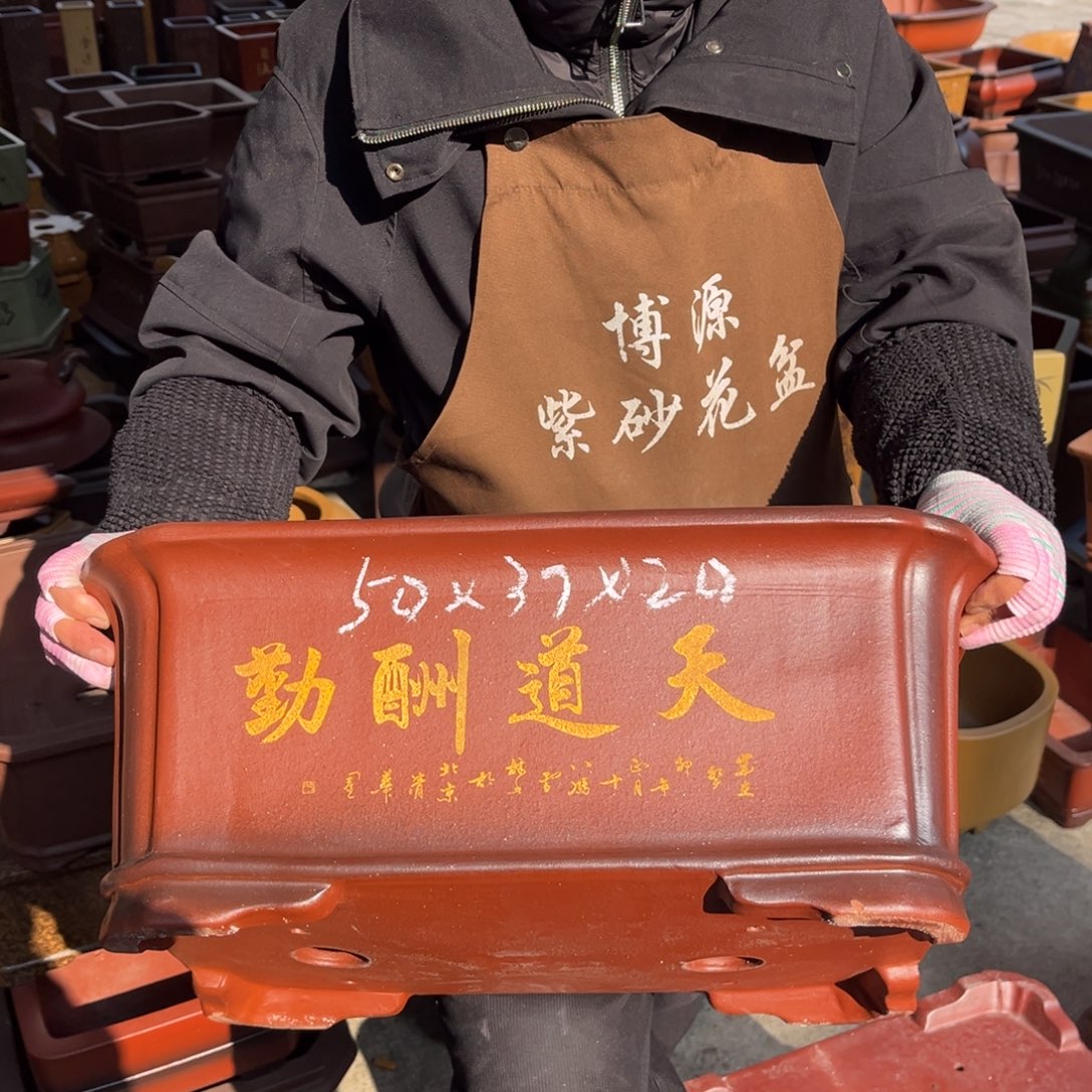 花盆紫砂盆景艺术