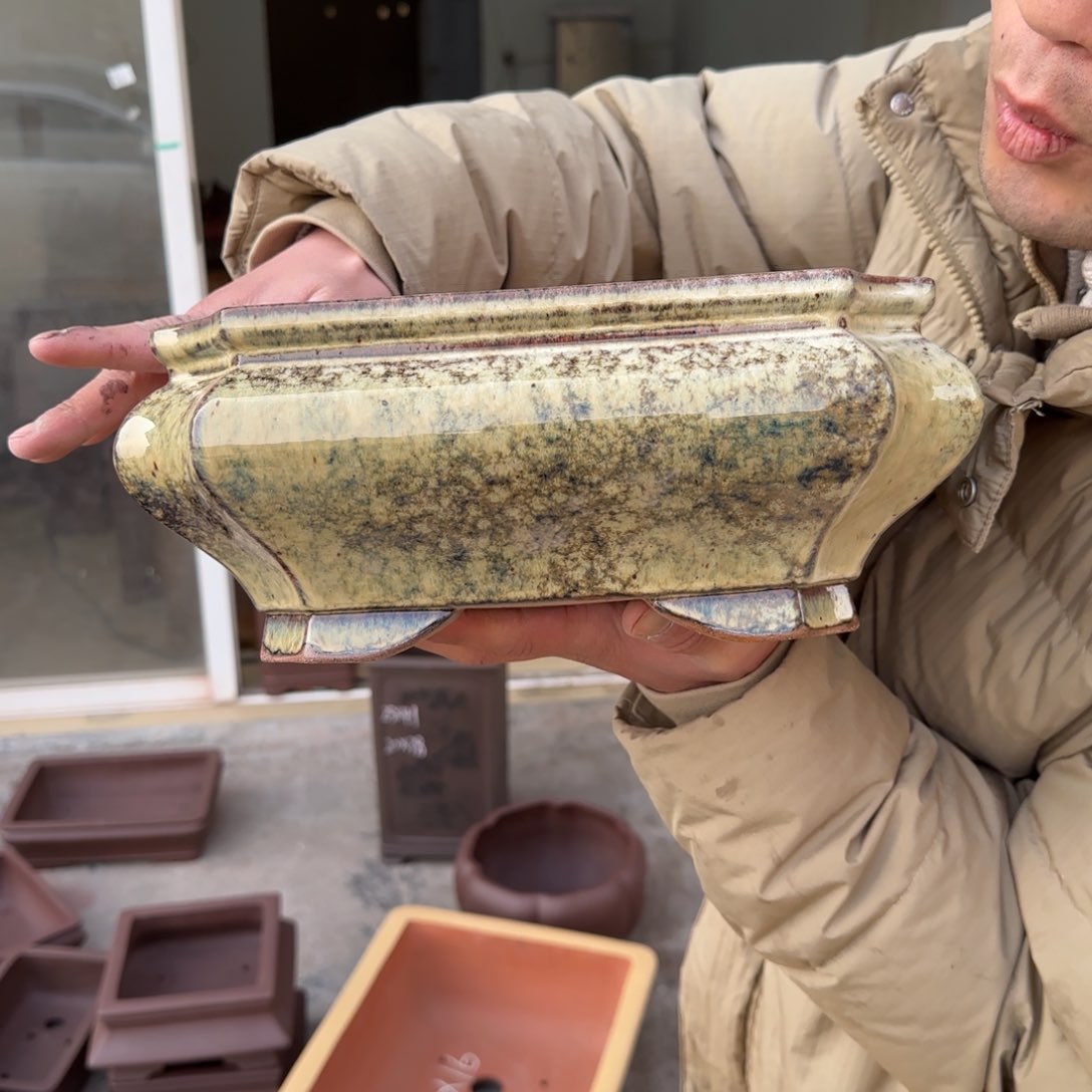 紫砂花盆呜呜呜呜