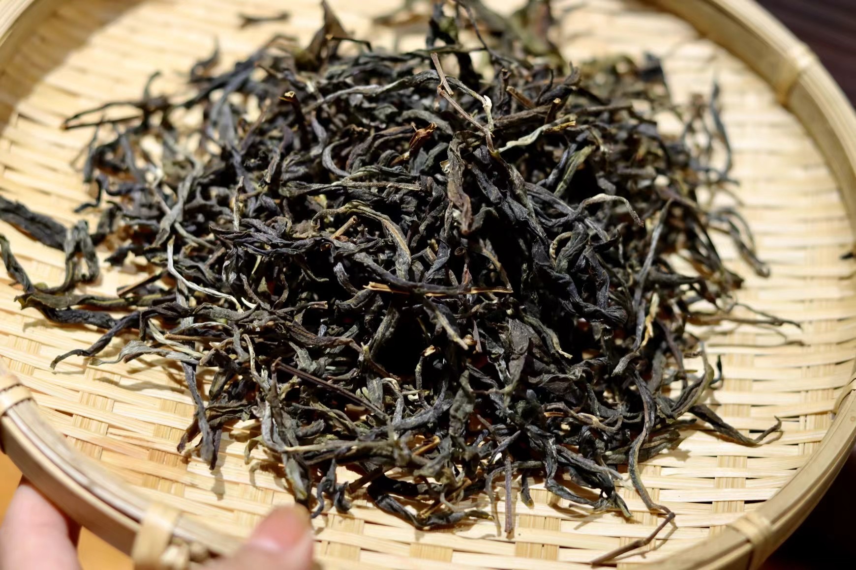 【11号 刀应萍】2024年霸气山古树头春散茶