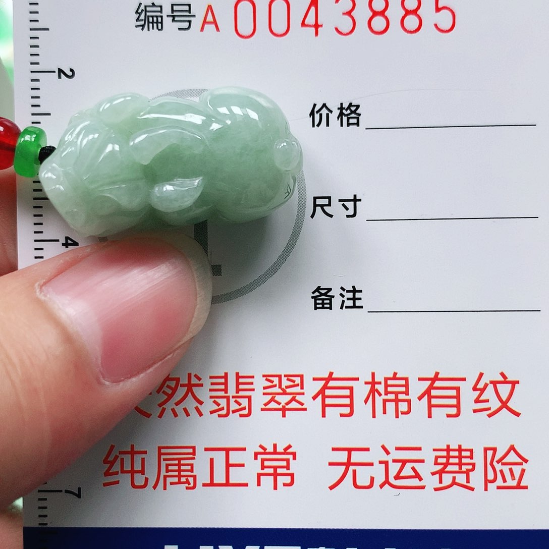 翡翠颈饰未镶嵌111111111111