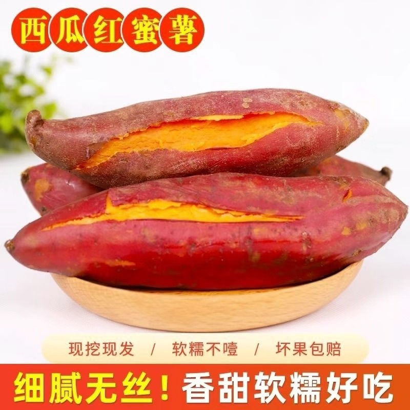 【西瓜红蜜薯】当季新红薯黄心蜜薯，代餐身材管理宝宝辅食，西瓜红蜜薯河北省