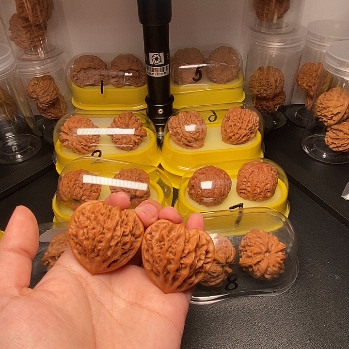 悦***༽42桃心龙门涧   凹底