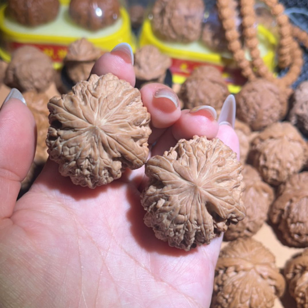 全品头茬 皮质骨质棒