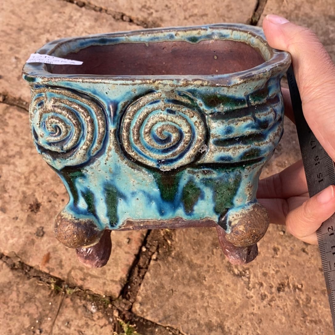 38号多肉盆口径12