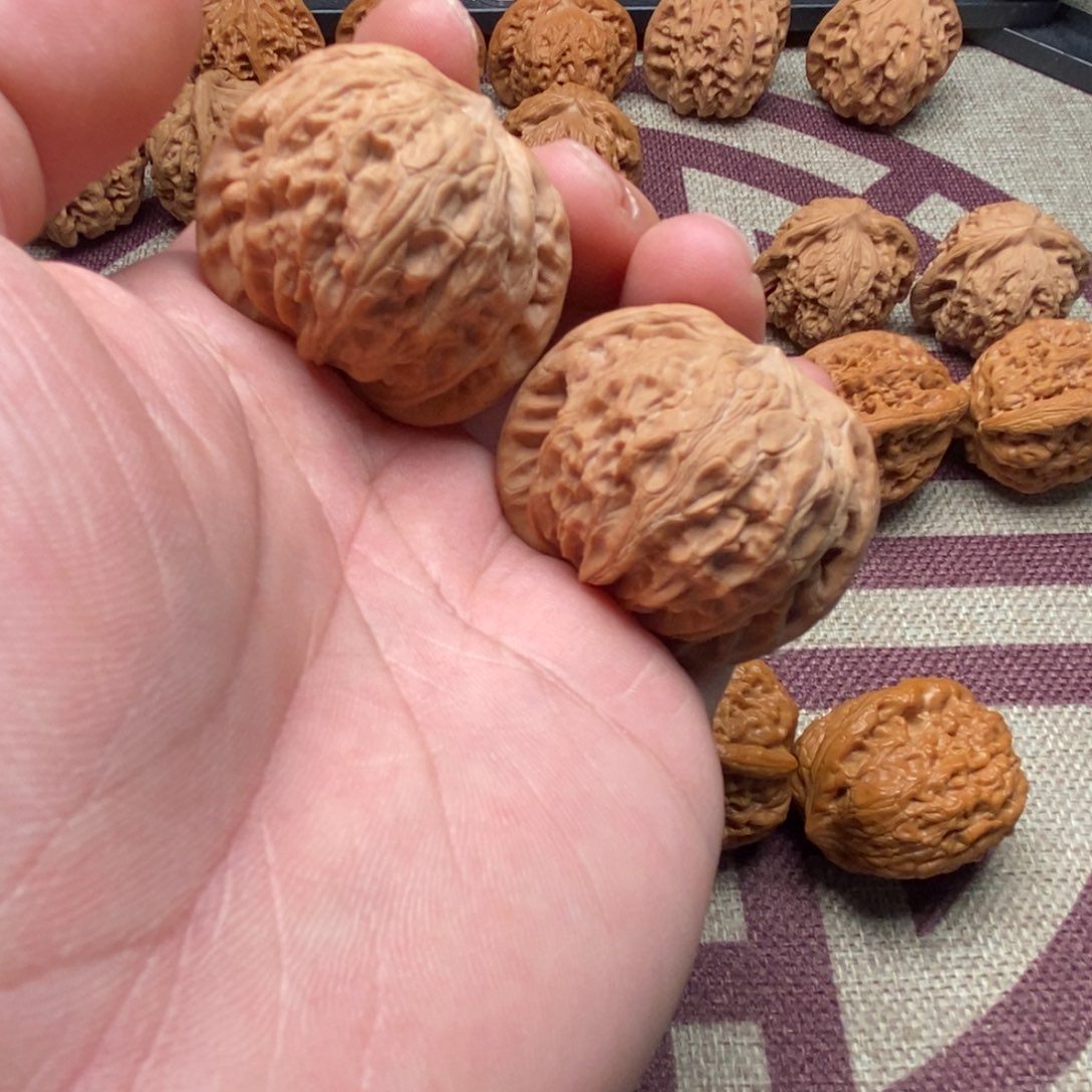42全品蓟县战鼓核桃