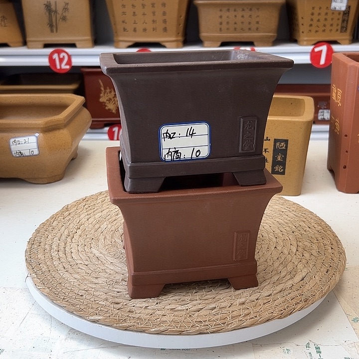 紫砂花盆蛇年大吉