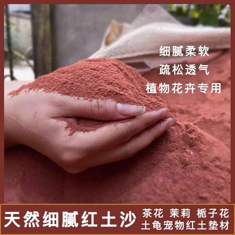 茶花专用土壤红沙土树苗专用