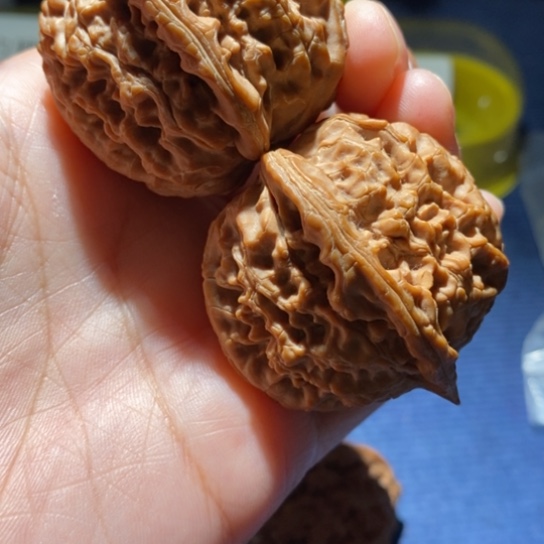 【闪购商品】吊坠文玩核桃我**道水龙