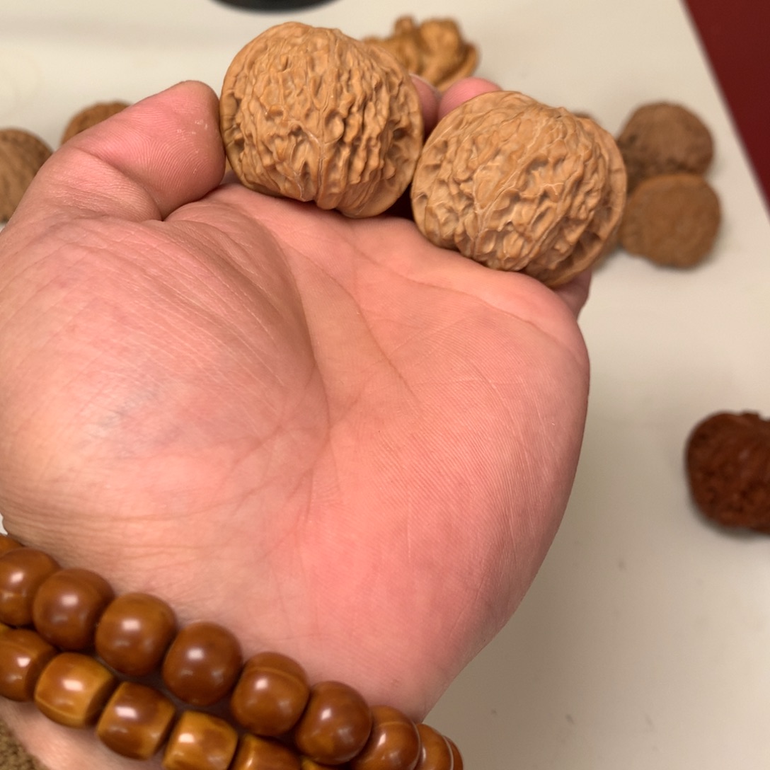 40加尺寸树爷爷百年老树磨盘红皮