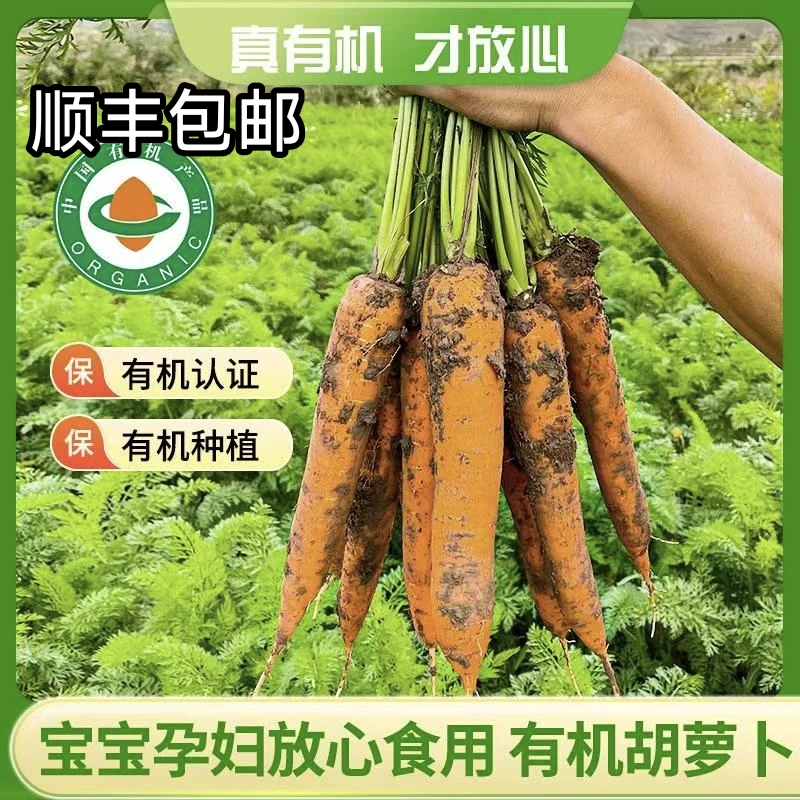 【顺丰包邮】内蒙古后窑子有机胡萝卜不打药带泥新鲜发5斤