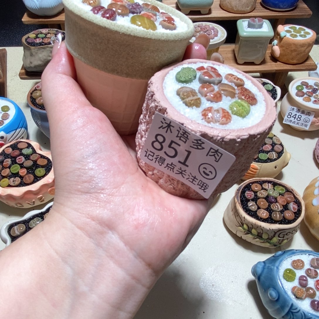 所见即所得 一物一拍851