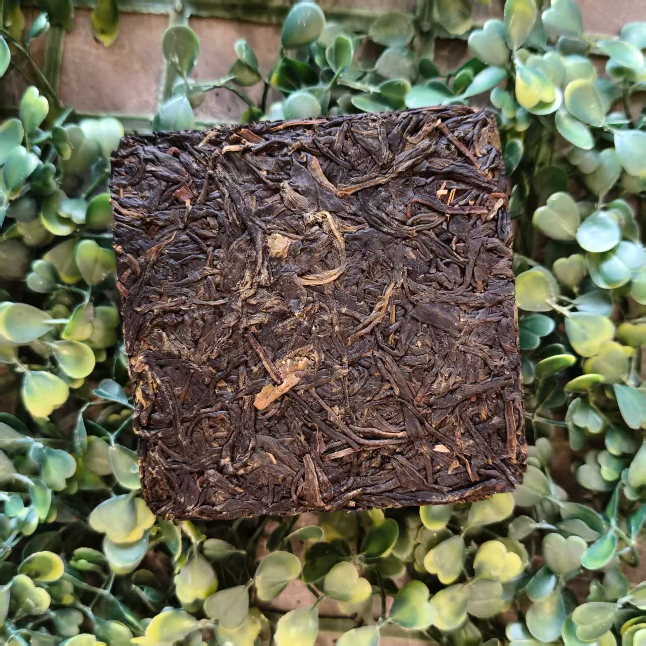 雨腾妹夫 “崆D印”菩提XR亲L“不L源泉”紫芽 200g/砖生茶（6月10）