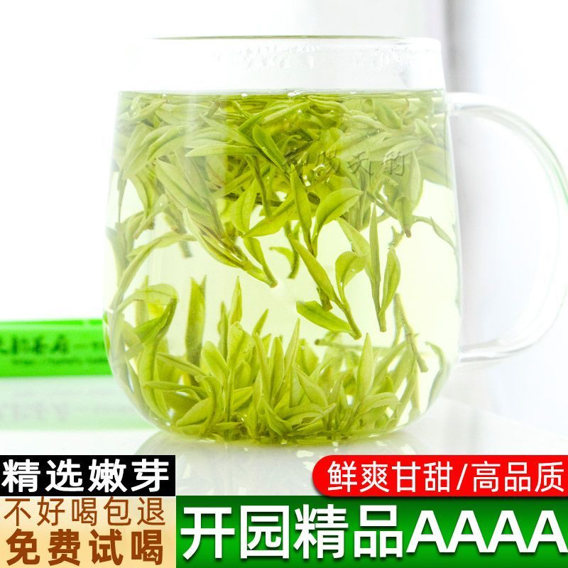 2025年新茶明前新茶头采白茶