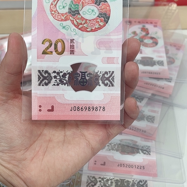 塑料蛇钞-9878——————————