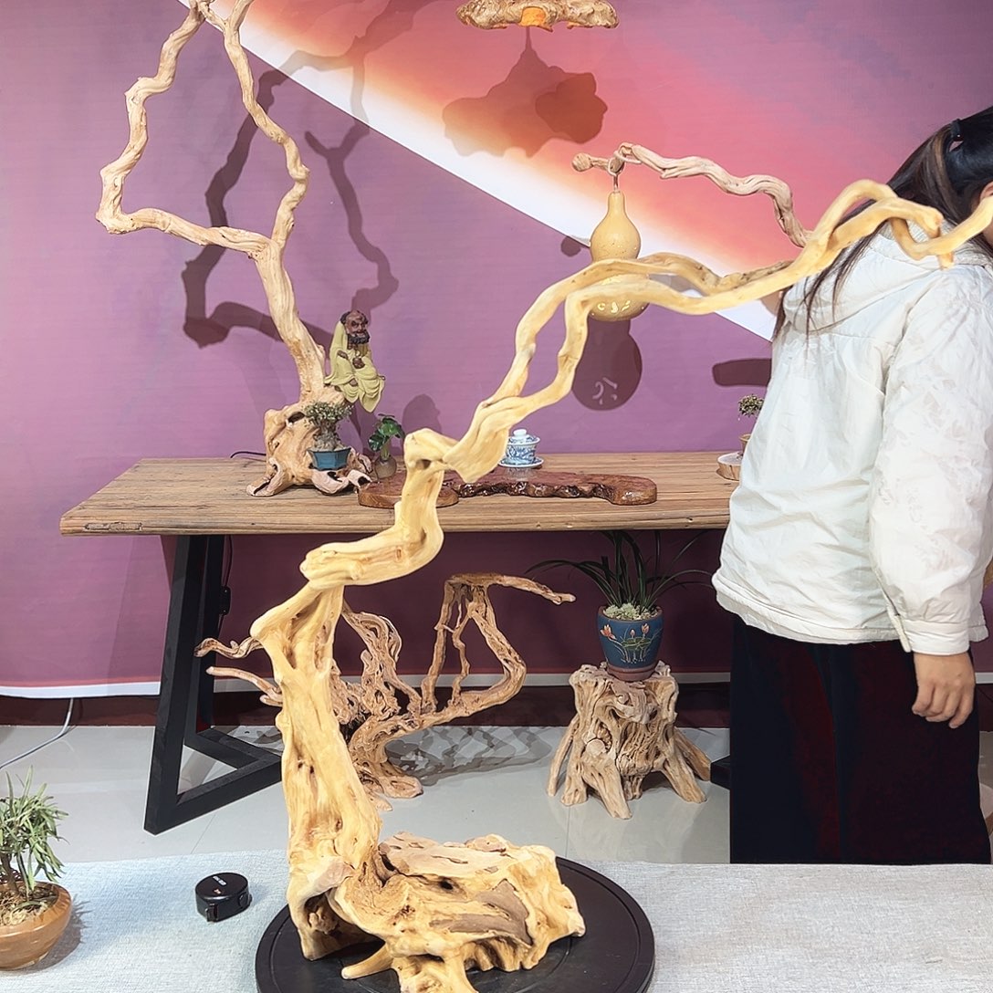 C***森木天然杜鹃根艺摆件