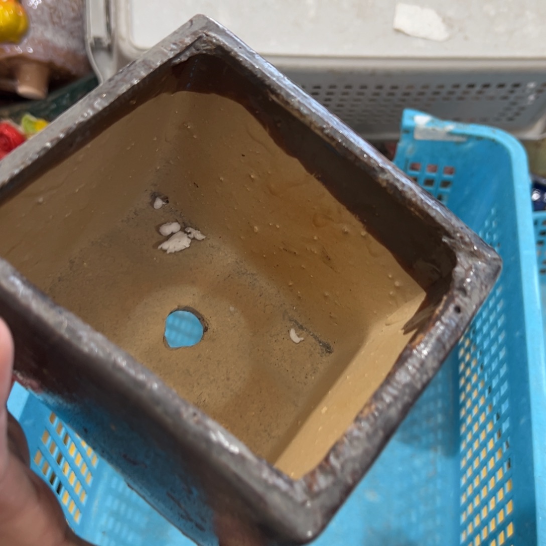 瑕疵438 花盆拍满20元发货，爱退款的拉黑