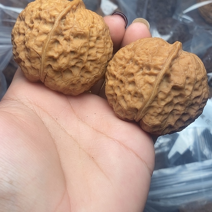 文玩核桃把件17号48mm