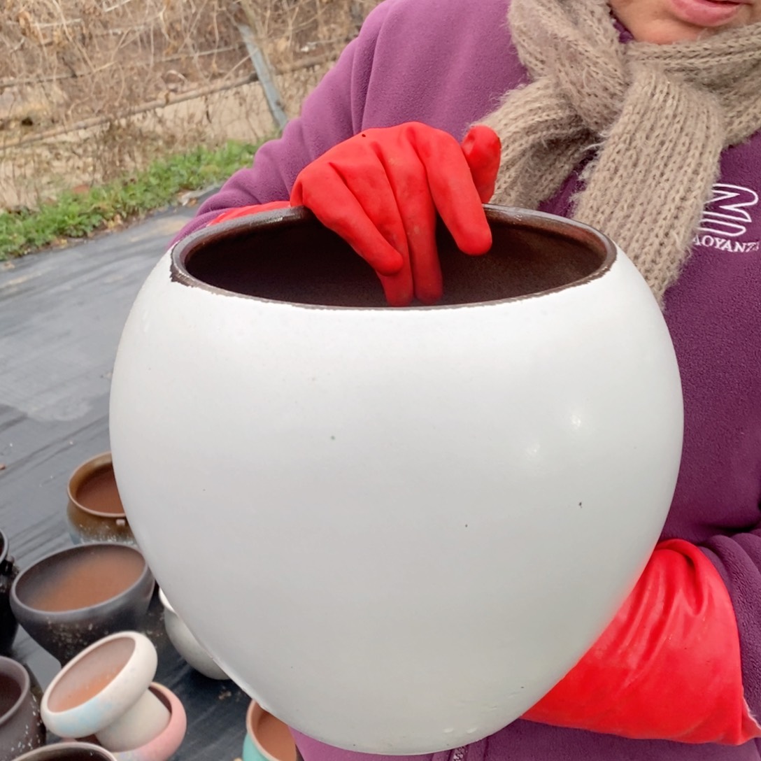 红陶口20高22～～～