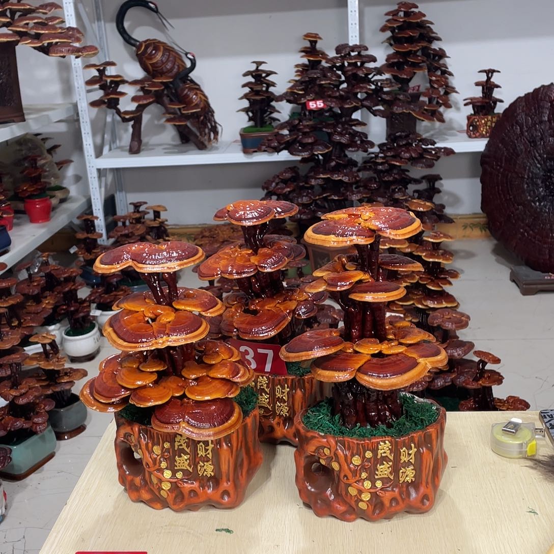 精***晓无花朵888888888888888