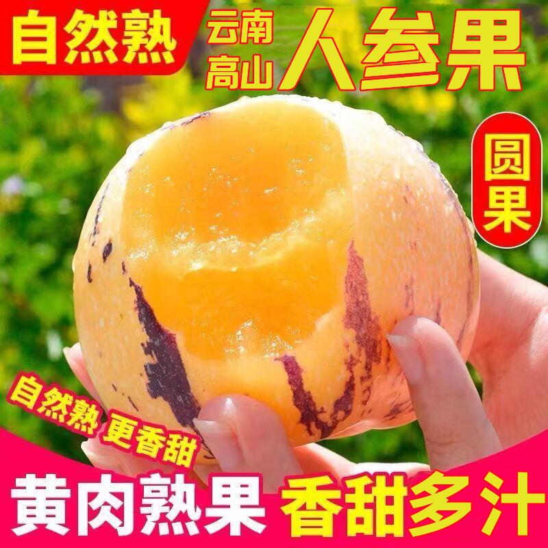 【圆果自然熟】正宗云南石林人参果黄果黄肉人生果人心果当季水果