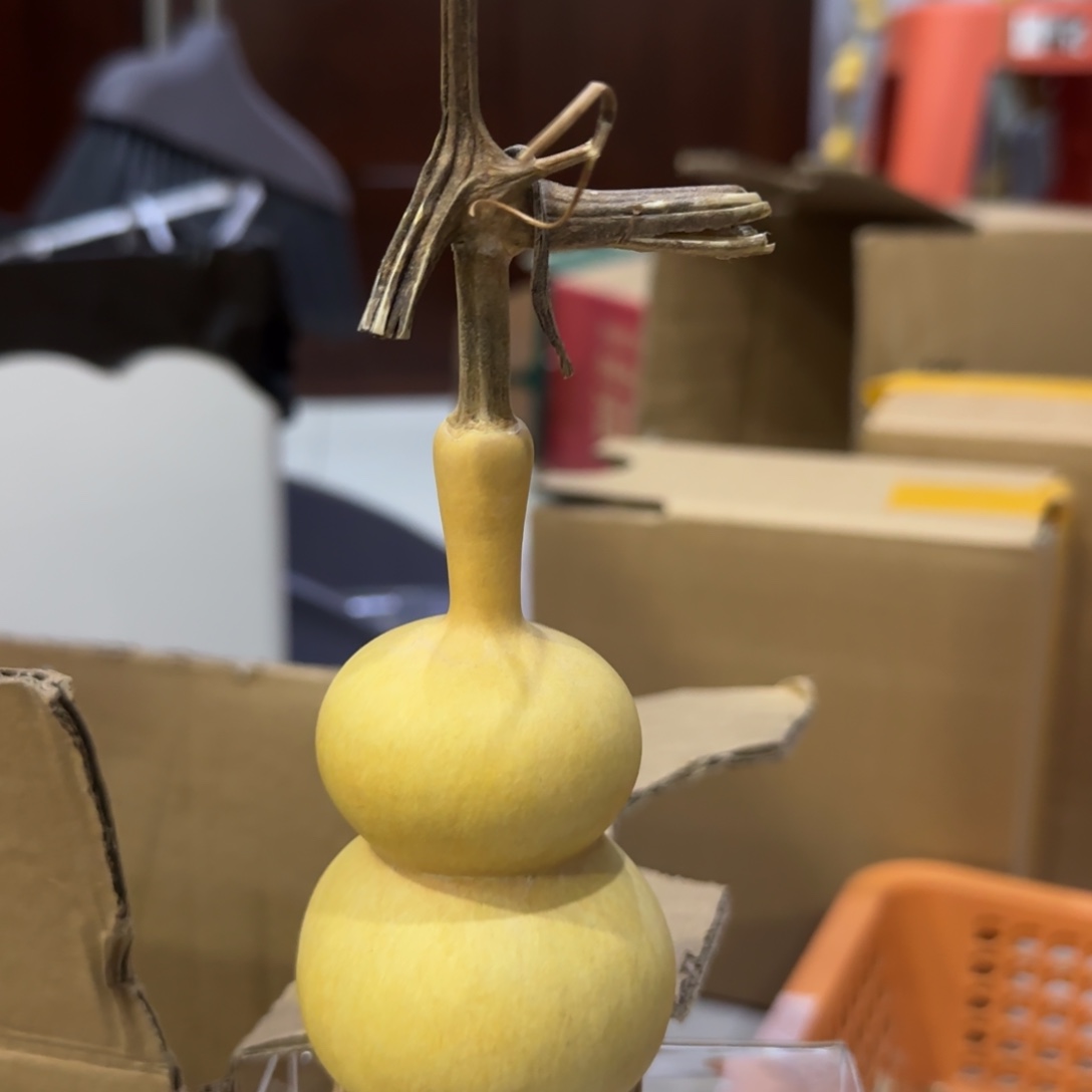 葫芦咯out了我吐jjmjjttjmm