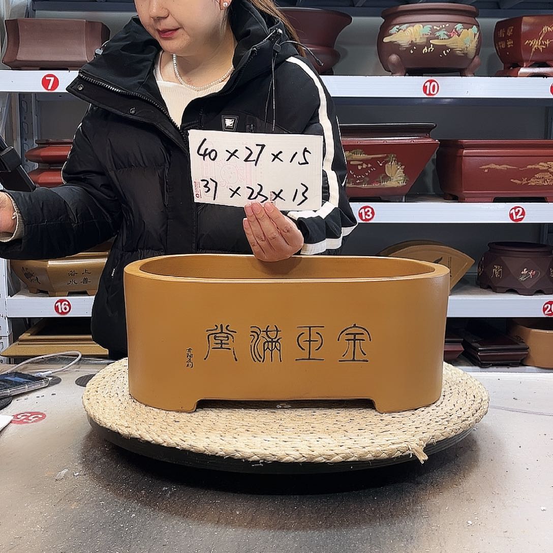 花盆紫砂紫砂花盆里