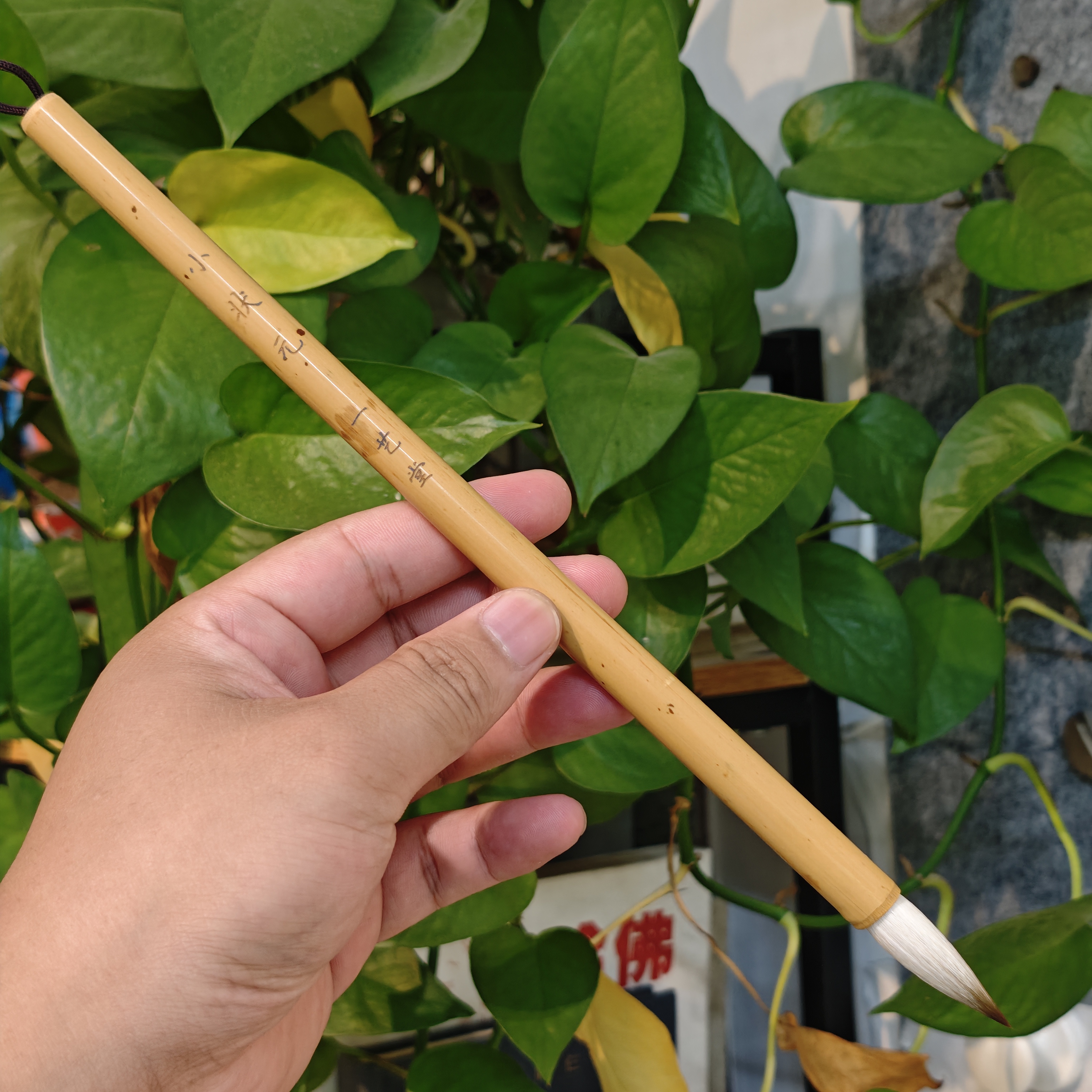 兼毫笔头3.6*0.9中楷毛笔弹性好五体通用艺考培训专用毛笔