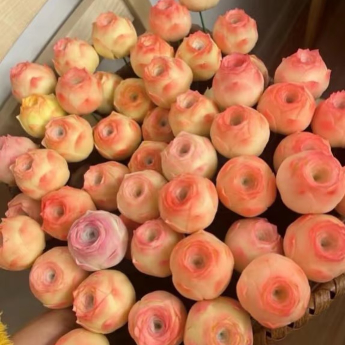 10颗鸡蛋玫瑰多肉植物发货为绿色看清楚再拍～不要拍一单