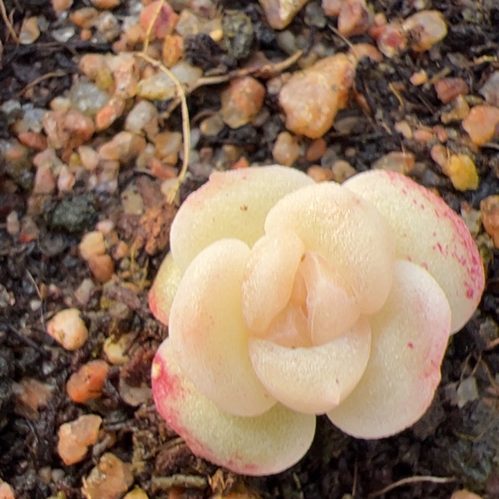 居***y居居专拍链接啊阿啊阿