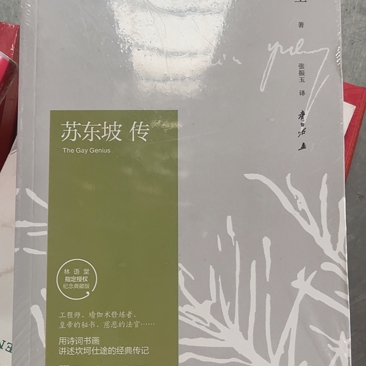 苏东坡传全新推荐