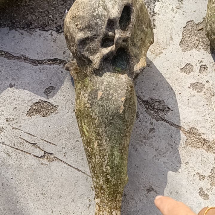 人***半木鹤首葫芦！！！！！！！！！！？！