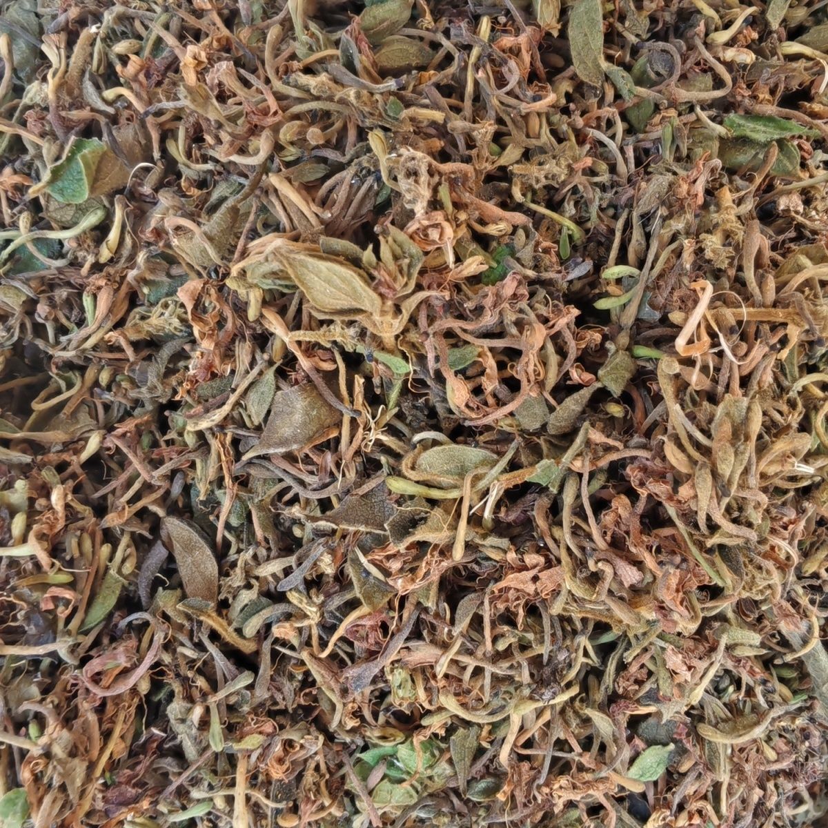广西野生金银花（一物一拍，理性消费）