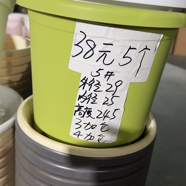 四季5号果绿无托10个特价