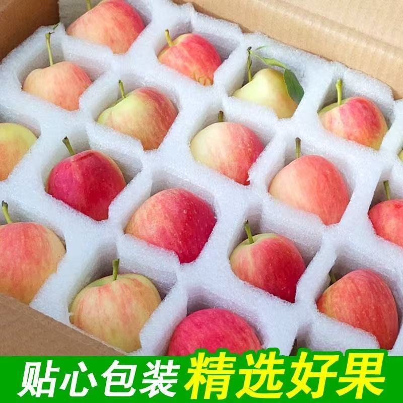 东北特产沙果海棠果k9小苹果红苹果孕妇酸应季水果